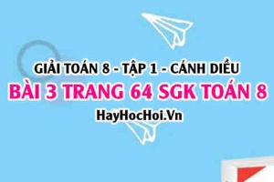 Giải bài 3 trang 64 Toán 8 Tập 1 SGK Cánh Diều